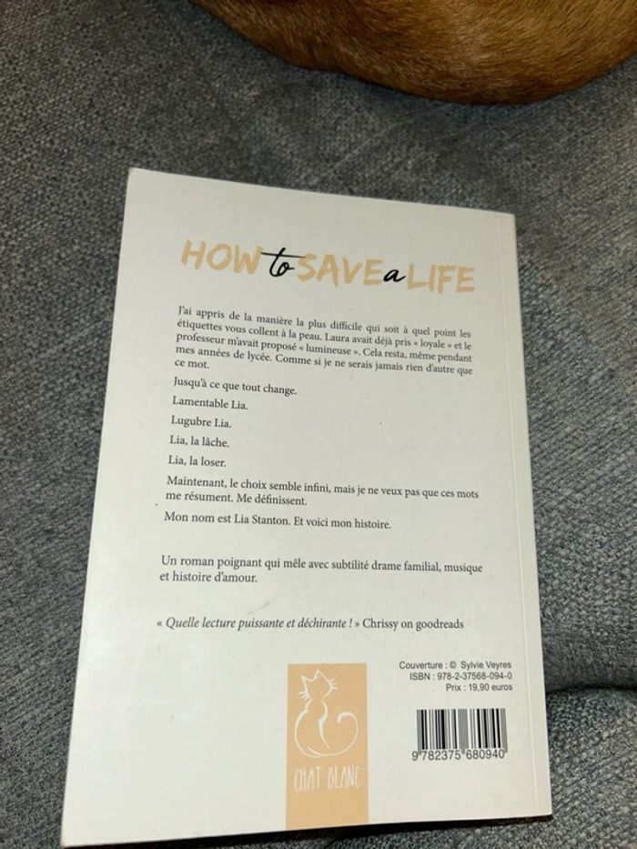 How to save a Life - photo numéro 2