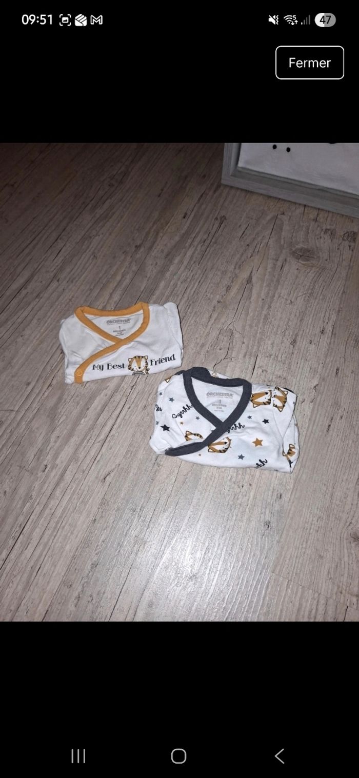 Lot 21 bodies - photo numéro 3