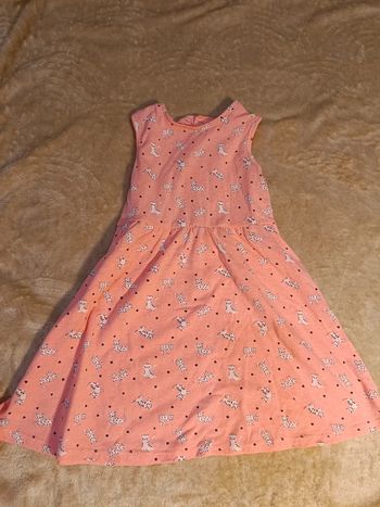 Robe été chats 36 mois 🐱