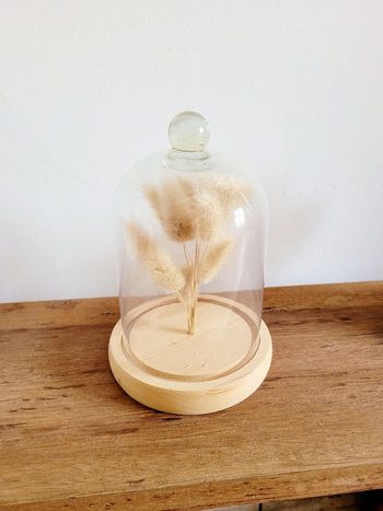 Cloche en verre Atmosphera