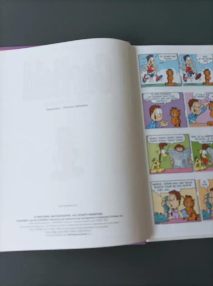 Bande dessinée BD Garfield 40 Fait le poids Dargaud - photo numéro 2