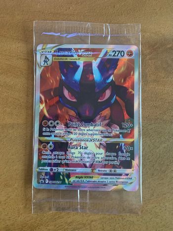 Carte Pokemon Lucario SWSH291