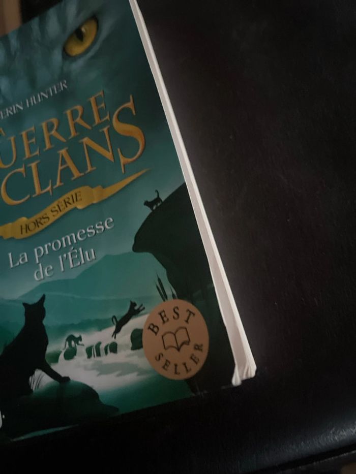 La guerre des clans hors-série la promesse de l’élu - photo numéro 2