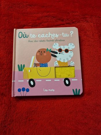 Livre où te caches tu ?