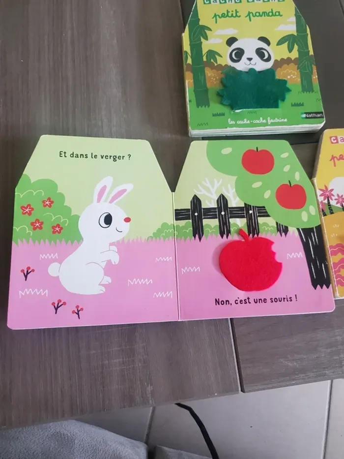 Lot de 3 livres Cache cache - photo numéro 2
