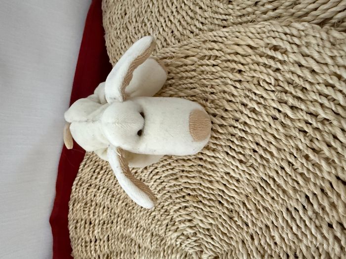 Doudou chien beige Tiamo - - photo numéro 5