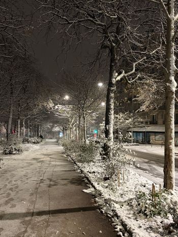 Lot 50 pièces Coquillette