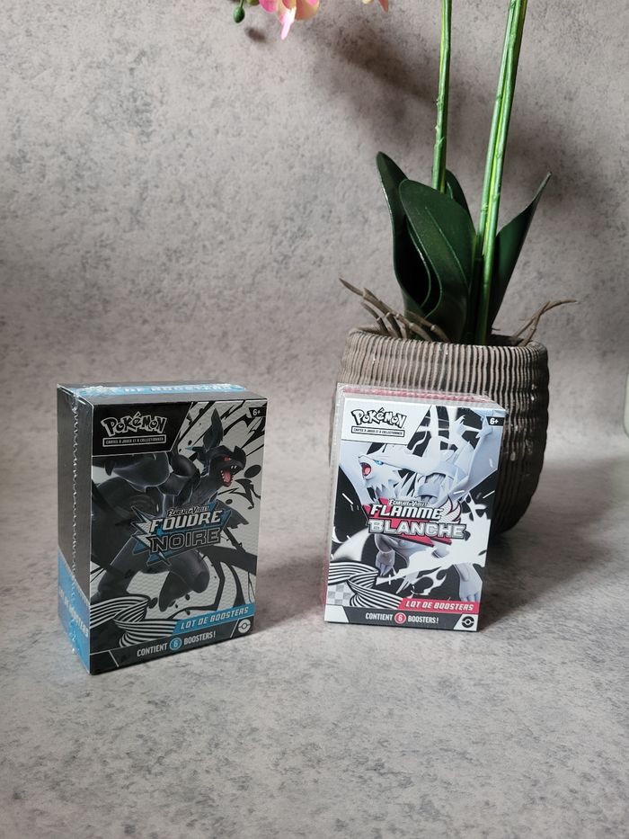 Pokémon Coffret Bundle Foudre Noire / Flamme Blanche Ev10.5 Fr - photo numéro 3