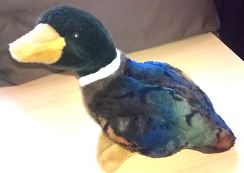 Canard en peluche