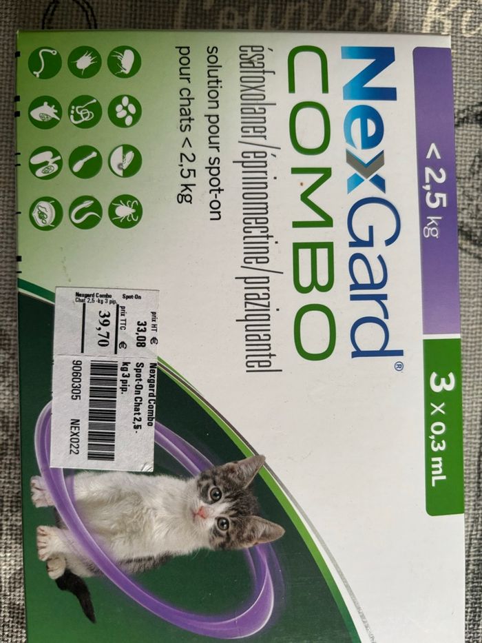 Pipettes anti  puces chat