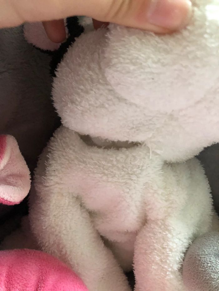 Peluche - photo numéro 4