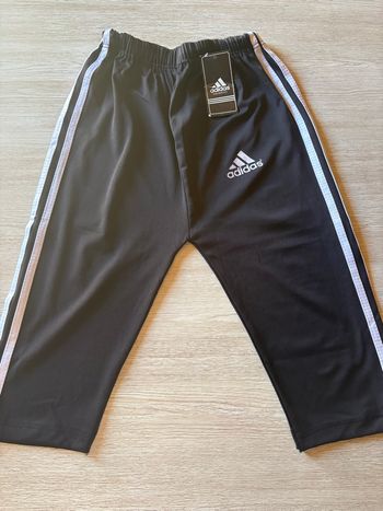 Short  Adidas
