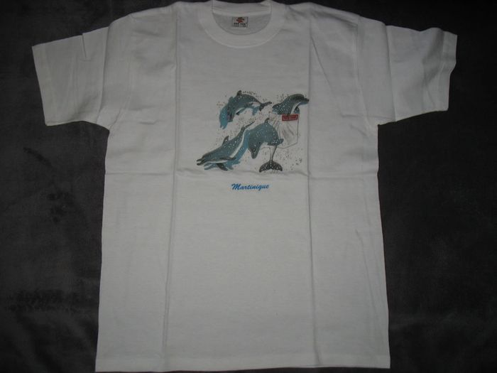 TEE SHIRT MC BLANC FILLE "SEE TEE" - 14 ANS - n°05