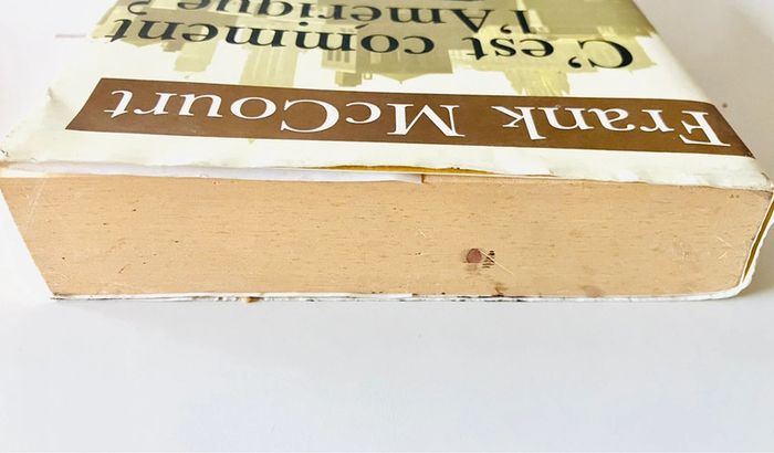 Roman C'est comment l'Amérique ? Frank McCourt - photo numéro 6