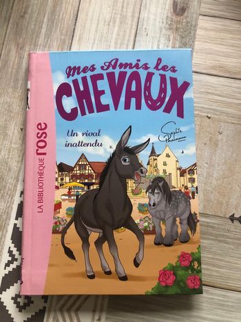 Mes amis les chevaux tome 4