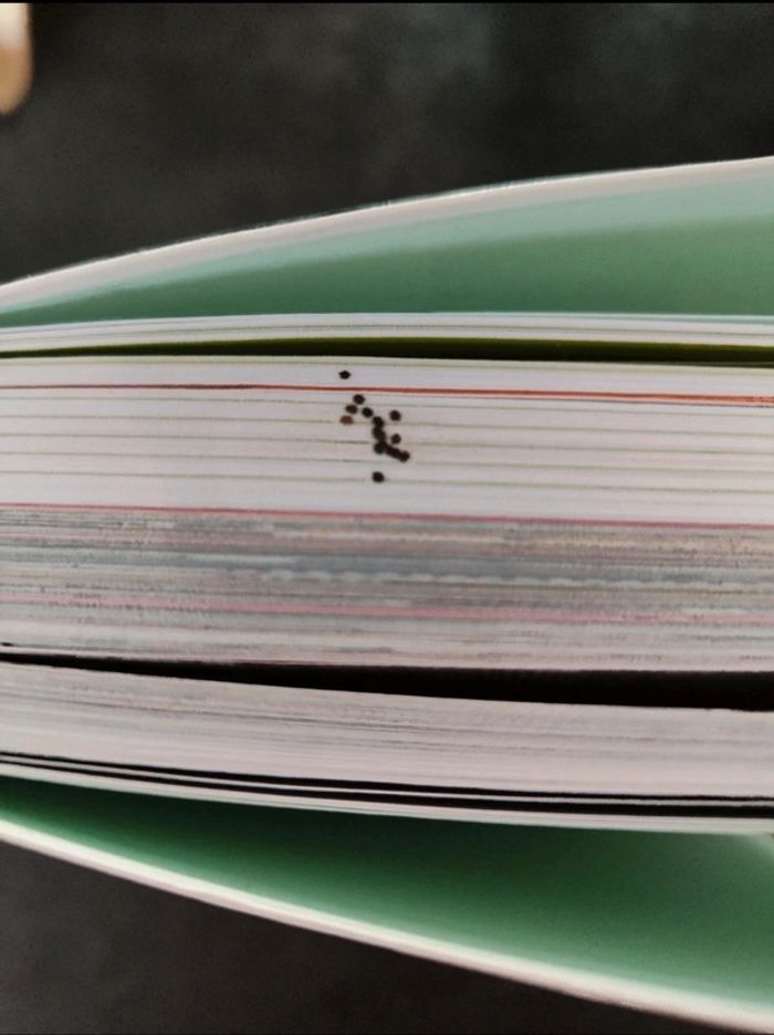 Livre ceci n'est pas un régime - photo numéro 3