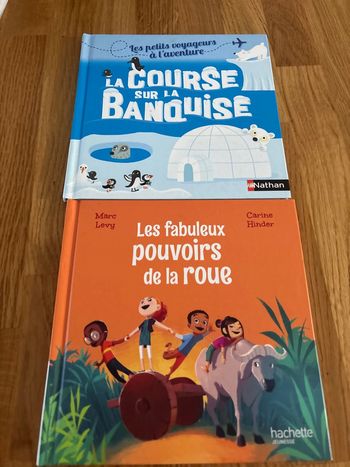 Lot 2 livres McDonald’s