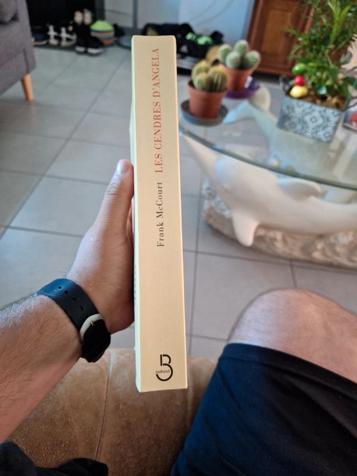 Livre les cendres d'angela - photo numéro 3