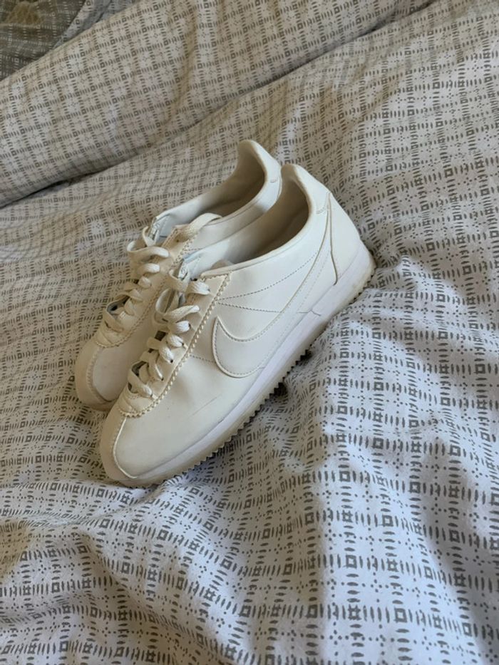 Cortez - photo numéro 2