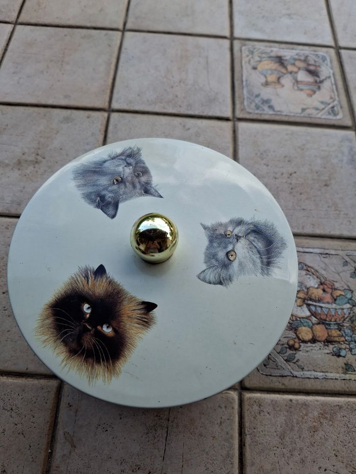 Boîte aluminium chat - photo numéro 7