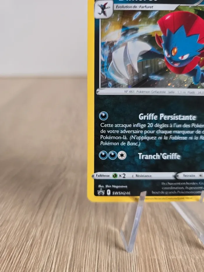 Dimoret SWSH246 - photo numéro 5