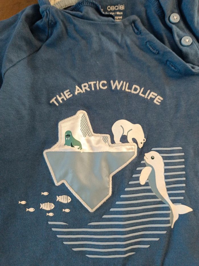 Tee shirt Okaïdi 2 ans - photo numéro 2