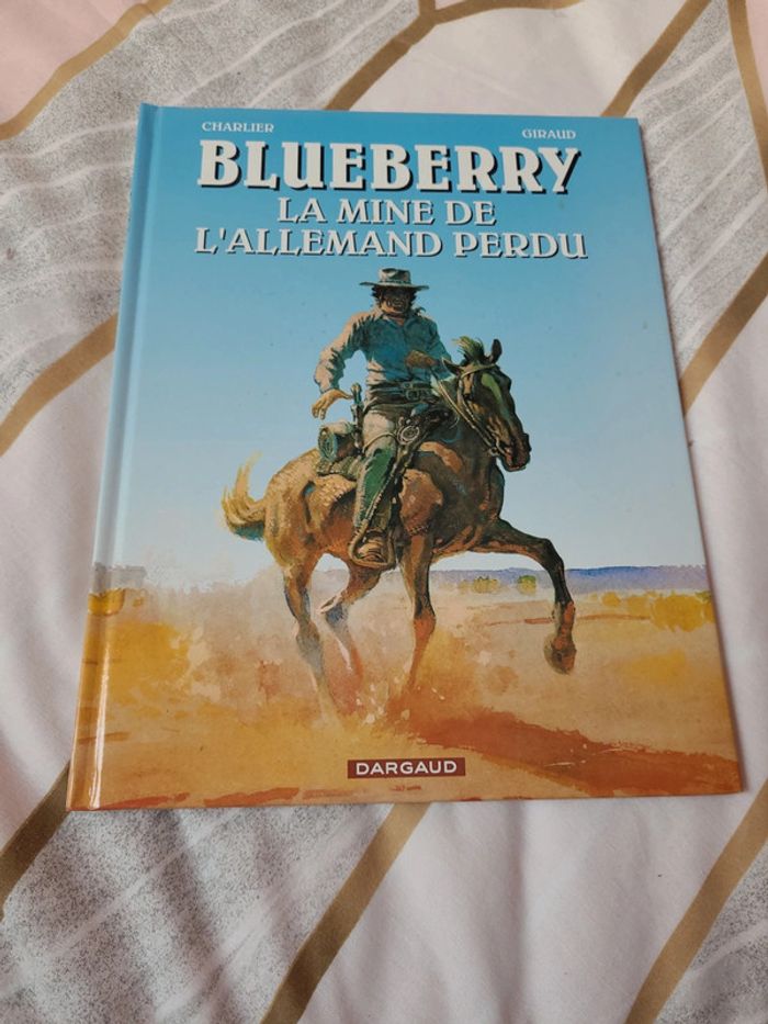 2 bd blueberry - photo numéro 3