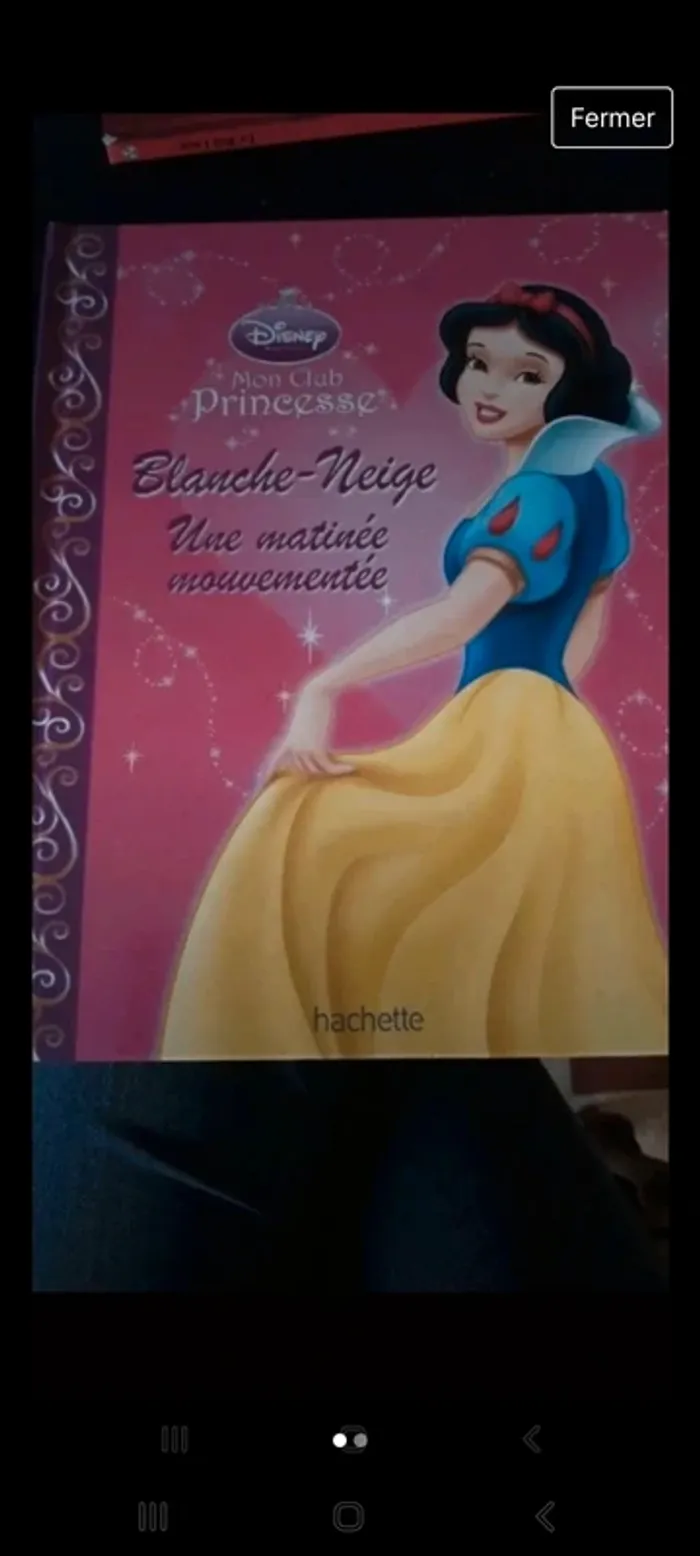 Blanche-neige une matinée mouvementée
