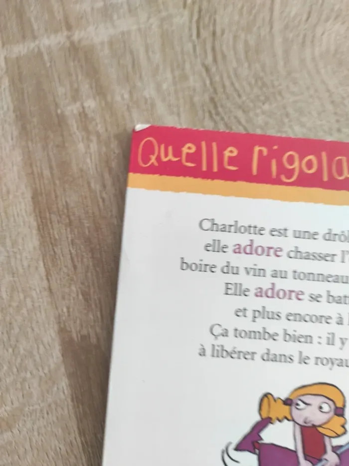 Livre princesse la tornade - photo numéro 3