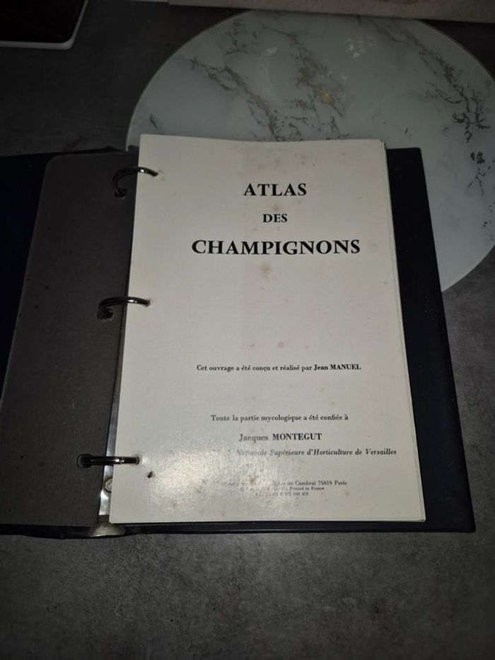 atlas des champignons - photo numéro 2