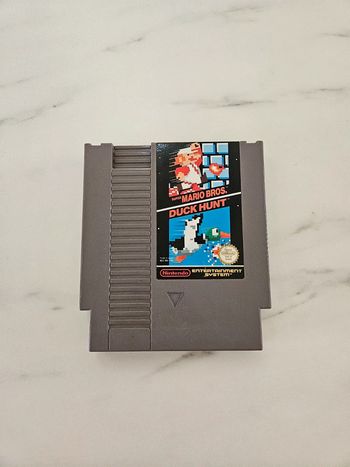 Nintendo jeu super Mario Bros Fuck Hunt