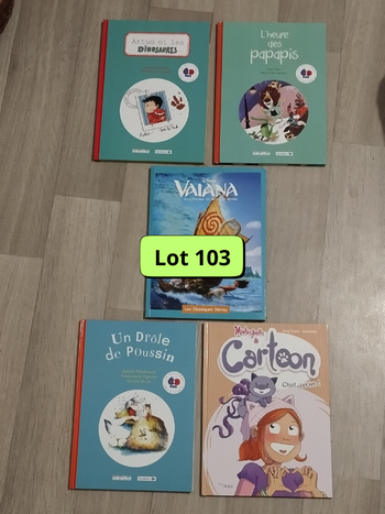 Lot de 5 livres illustrés et bandes dessinées enfant dès 6 ans L103