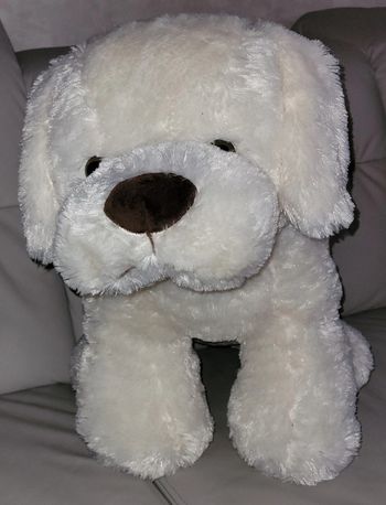 Très grande peluche chien blanc beige