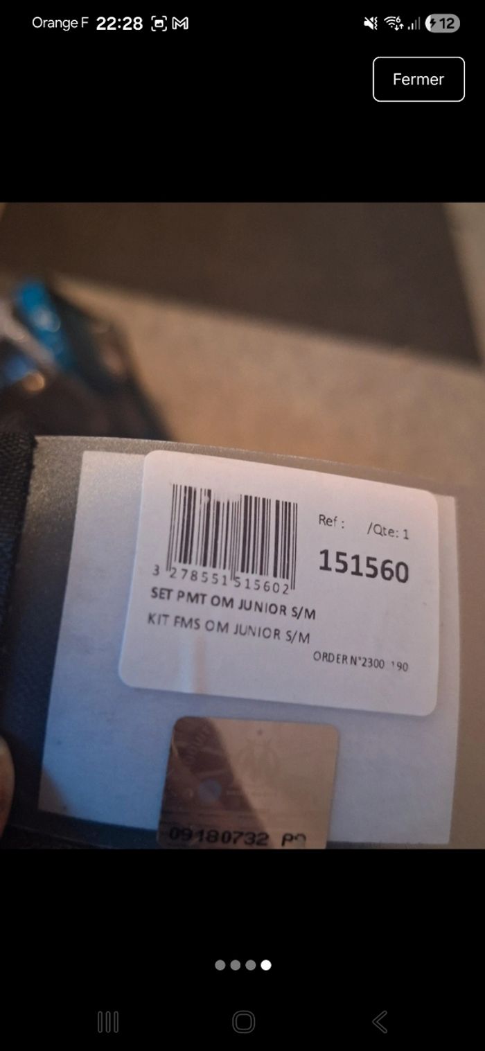 Kit de palme - photo numéro 3