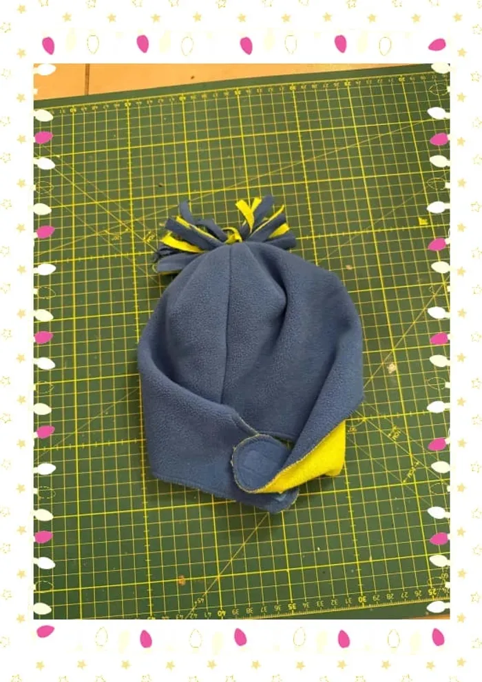 Bonnet 47 - photo numéro 3