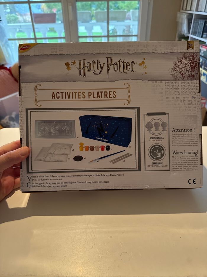 Harry Potter, activité, plâtre, moules des personnages préférés pour les peindre - photo numéro 2