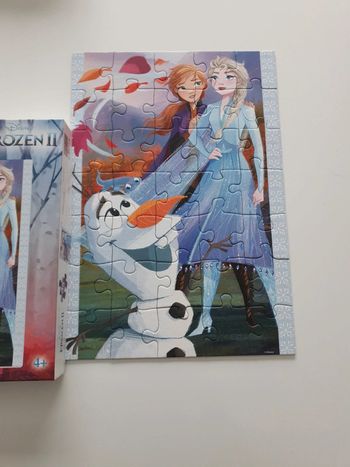 Puzzle reine des neige