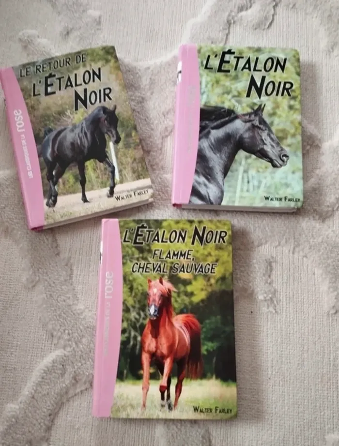 Lot de 3 livres l’étalon noir de la bibliothèque rose en très bon état