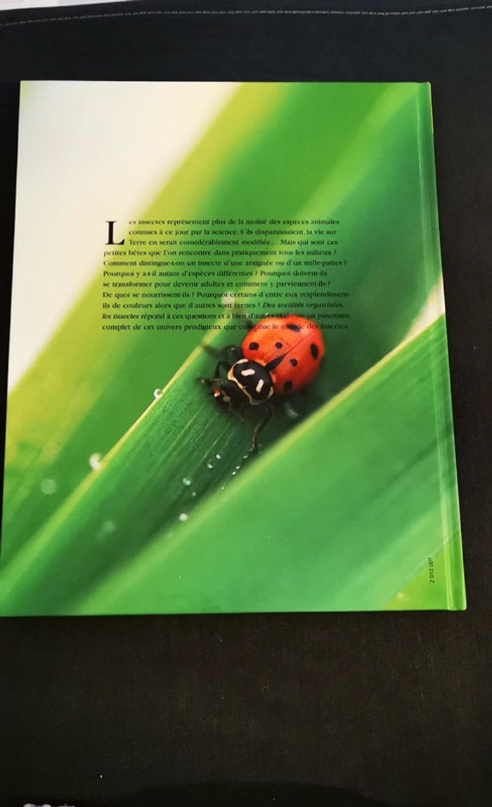 Des sociétés organisées, les insectes - photo numéro 2