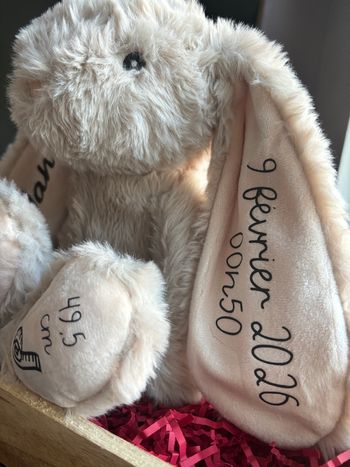 Lapin peluche personnalisée