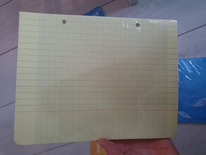 Feuilles de couleur - photo numéro 4