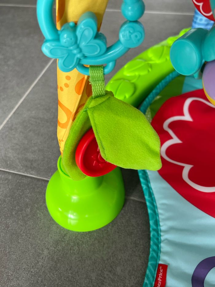 Tapis d’éveil Fisher Price - photo numéro 7