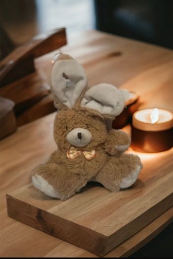 Peluche lapin🧸