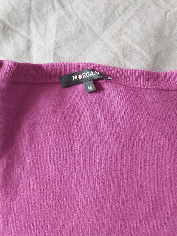 Pull morgan - photo numéro 3