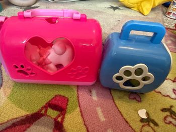 Petit panier avec animal à l’intérieur