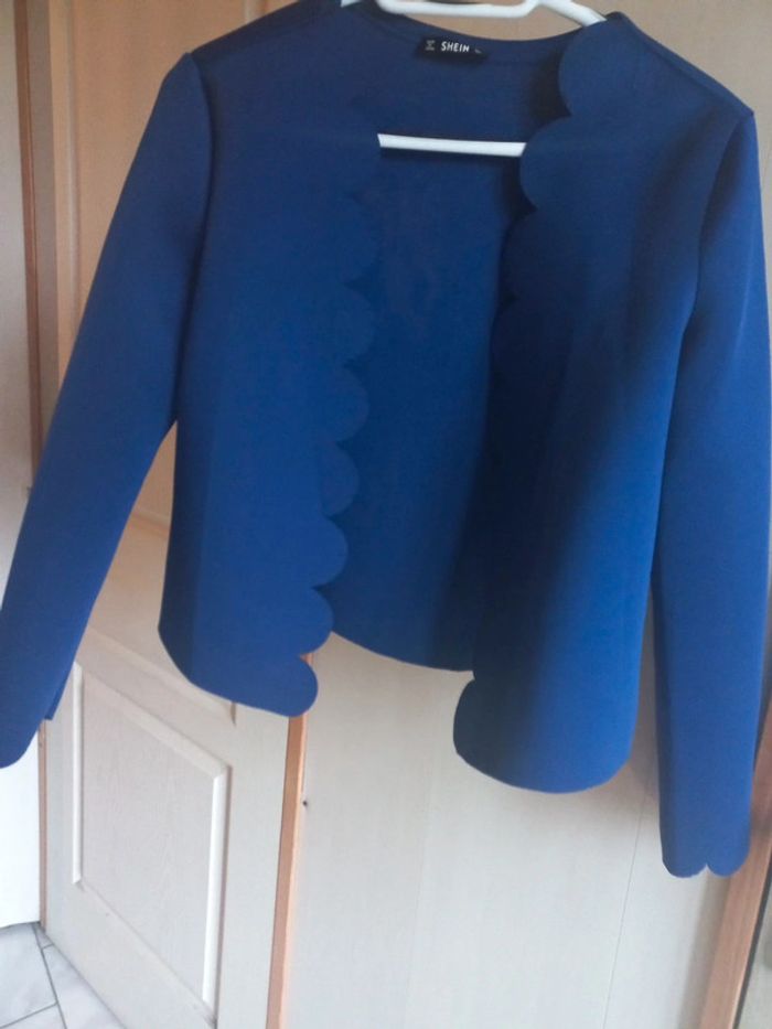 Veste bleue - photo numéro 2