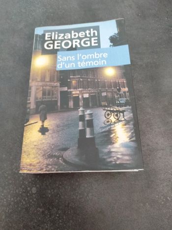 Sans l'ombre d'un témoin