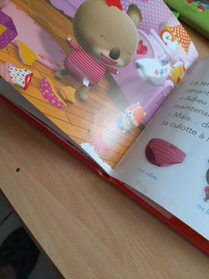 Bébé Koala - photo numéro 7