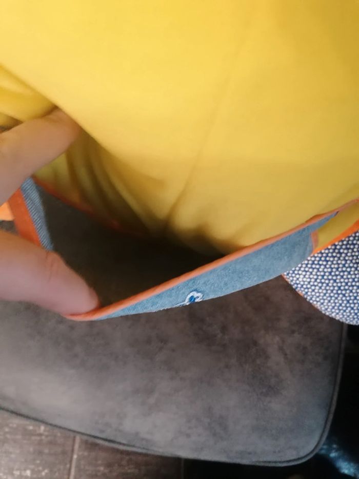 Gros canard - photo numéro 4