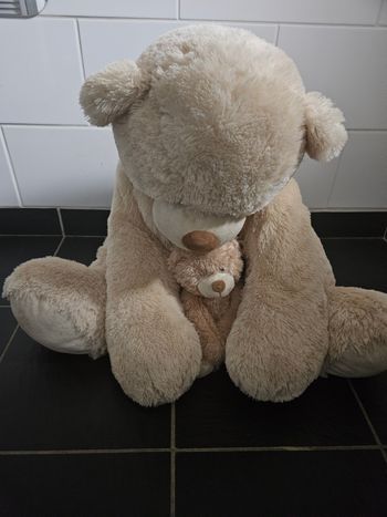 Ours et son ourson XXL